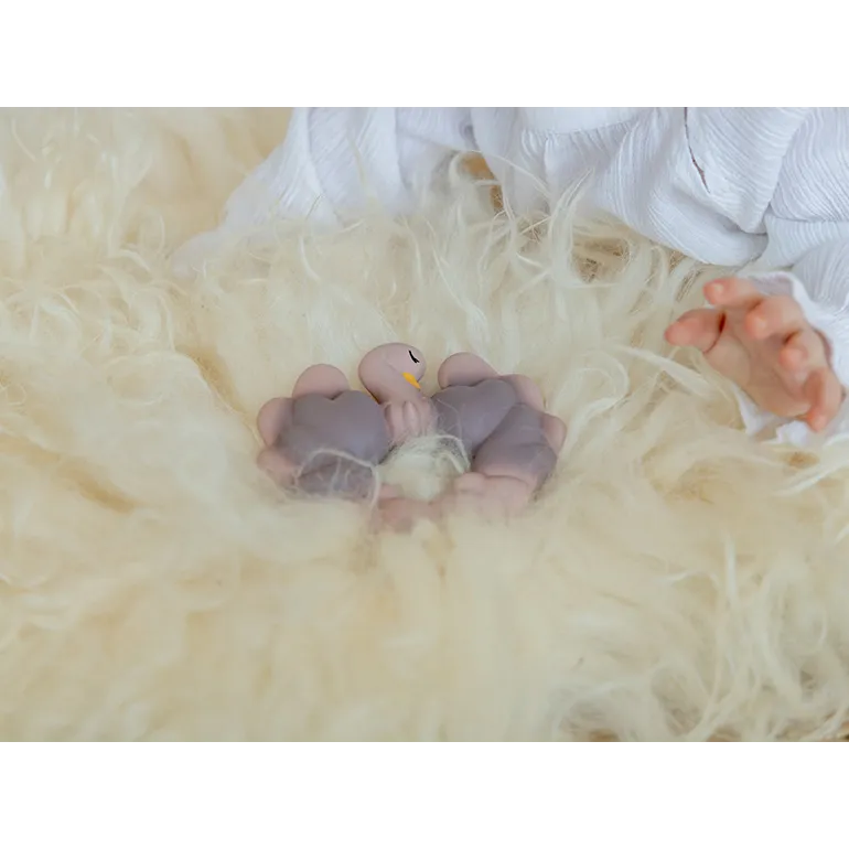 Natruba - Bidering - Struds