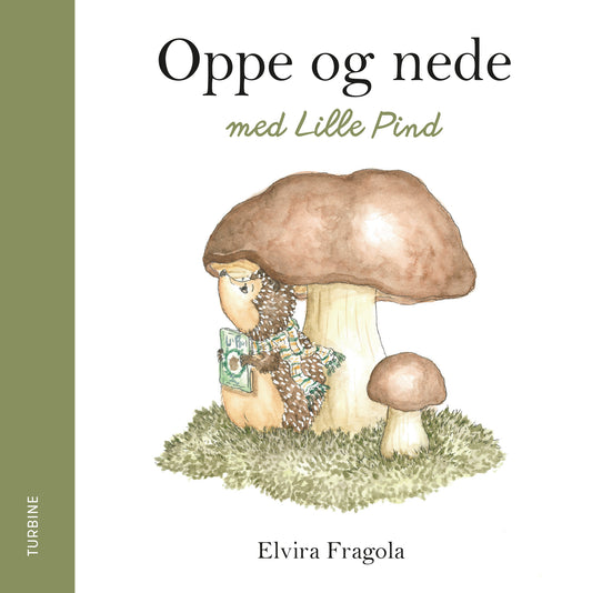 Elvira Fragola - Oppe og nede med Lille Pind - Papbog til de mindste